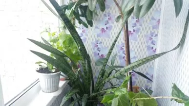 Остекление лоджии с отделкой 3-й Крекингский пр-д